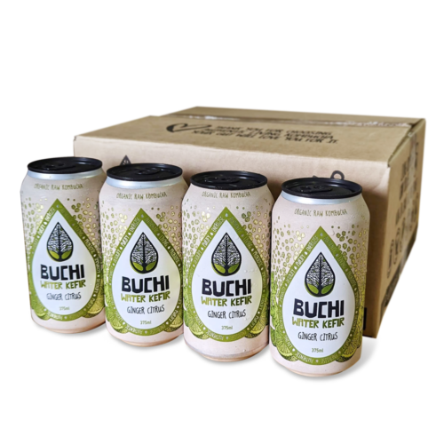  Buchi Kombucha