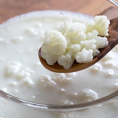 Organic Milk Kefir Grains (culture only)