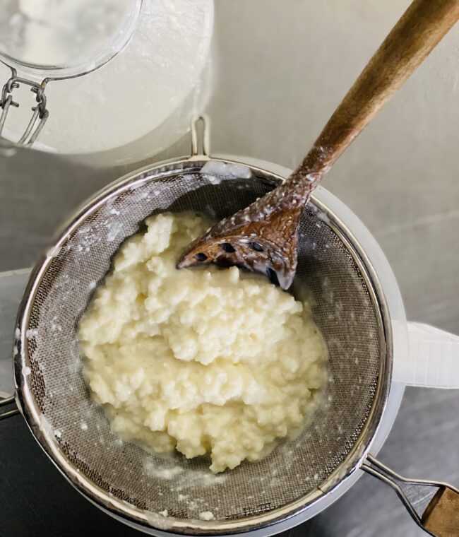 Organic Milk Kefir Grains (culture only) - Image 2