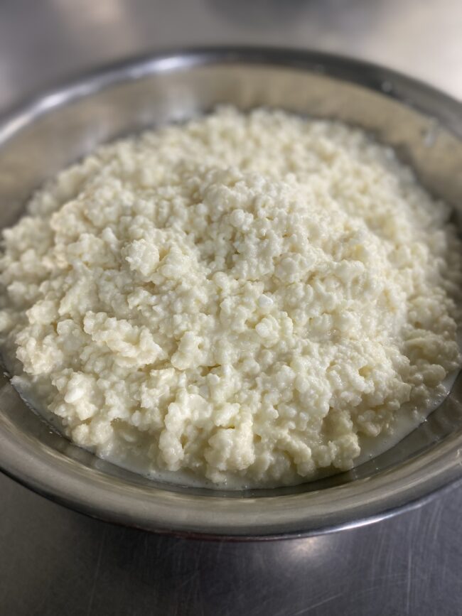Organic Milk Kefir Grains (culture only) - Image 3
